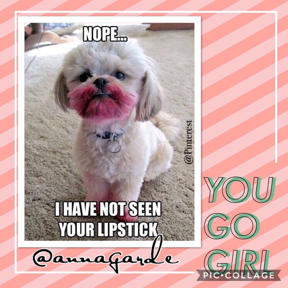#dogmomprobs